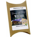 Anemone Bulb Pouch Kit